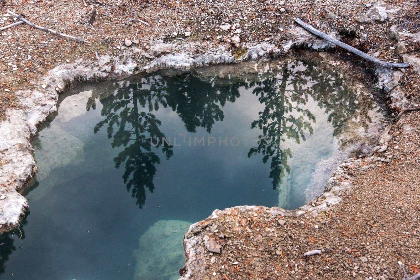 Steaming Mud Pod Area in famous Yellowstone National Park, USA