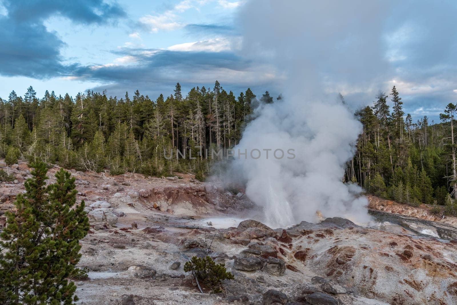 Steaming Mud Pod Area in famous Yellowstone National Park, USA