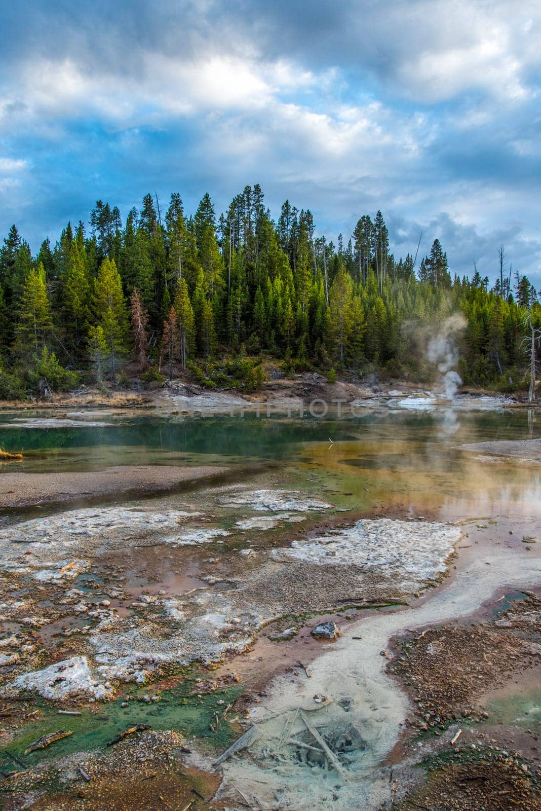 Steaming Mud Pod Area in famous Yellowstone National Park, USA