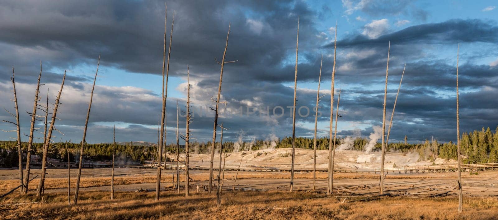 Steaming Mud Pod Area in famous Yellowstone National Park, USA