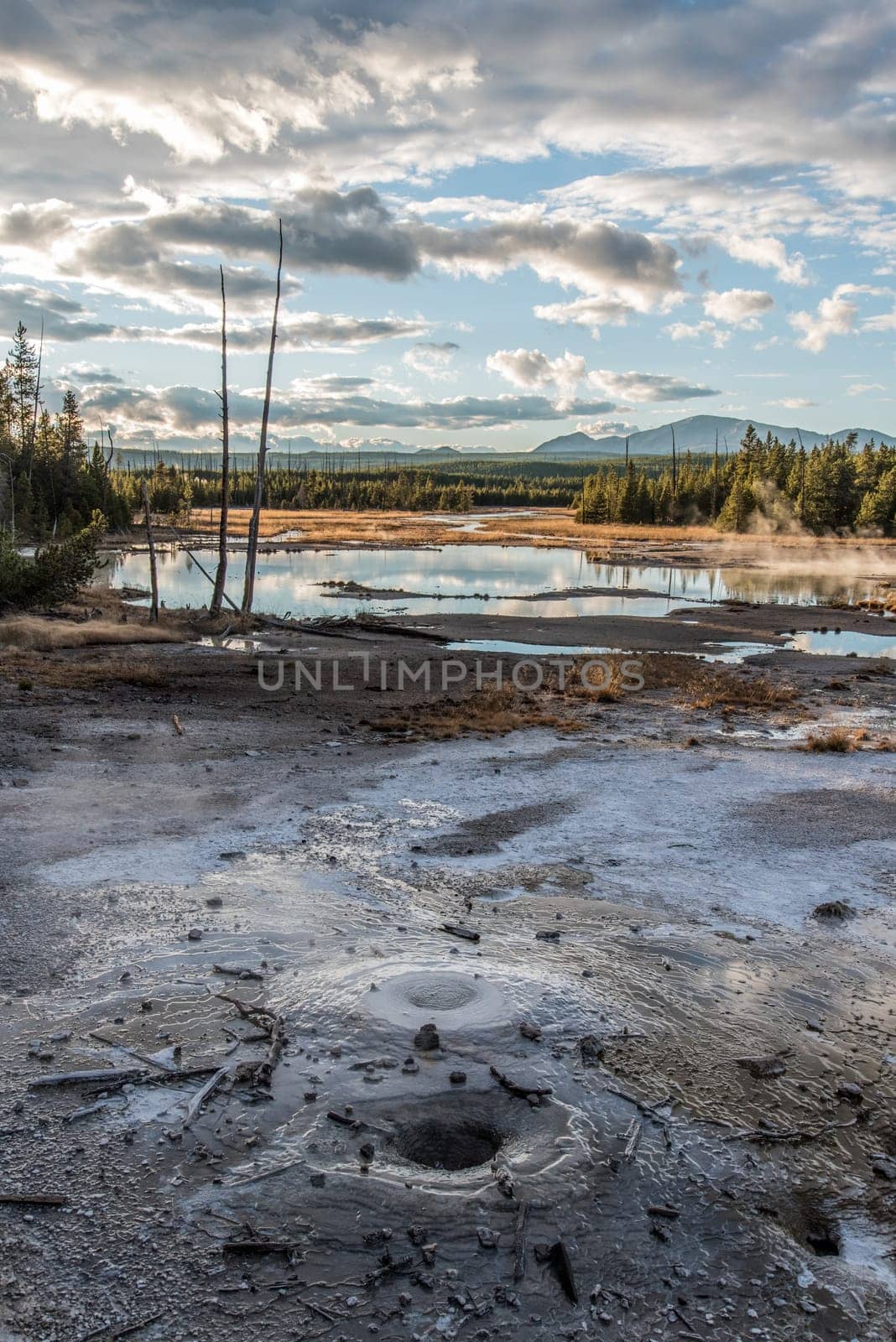 Steaming Mud Pod Area in famous Yellowstone National Park, USA