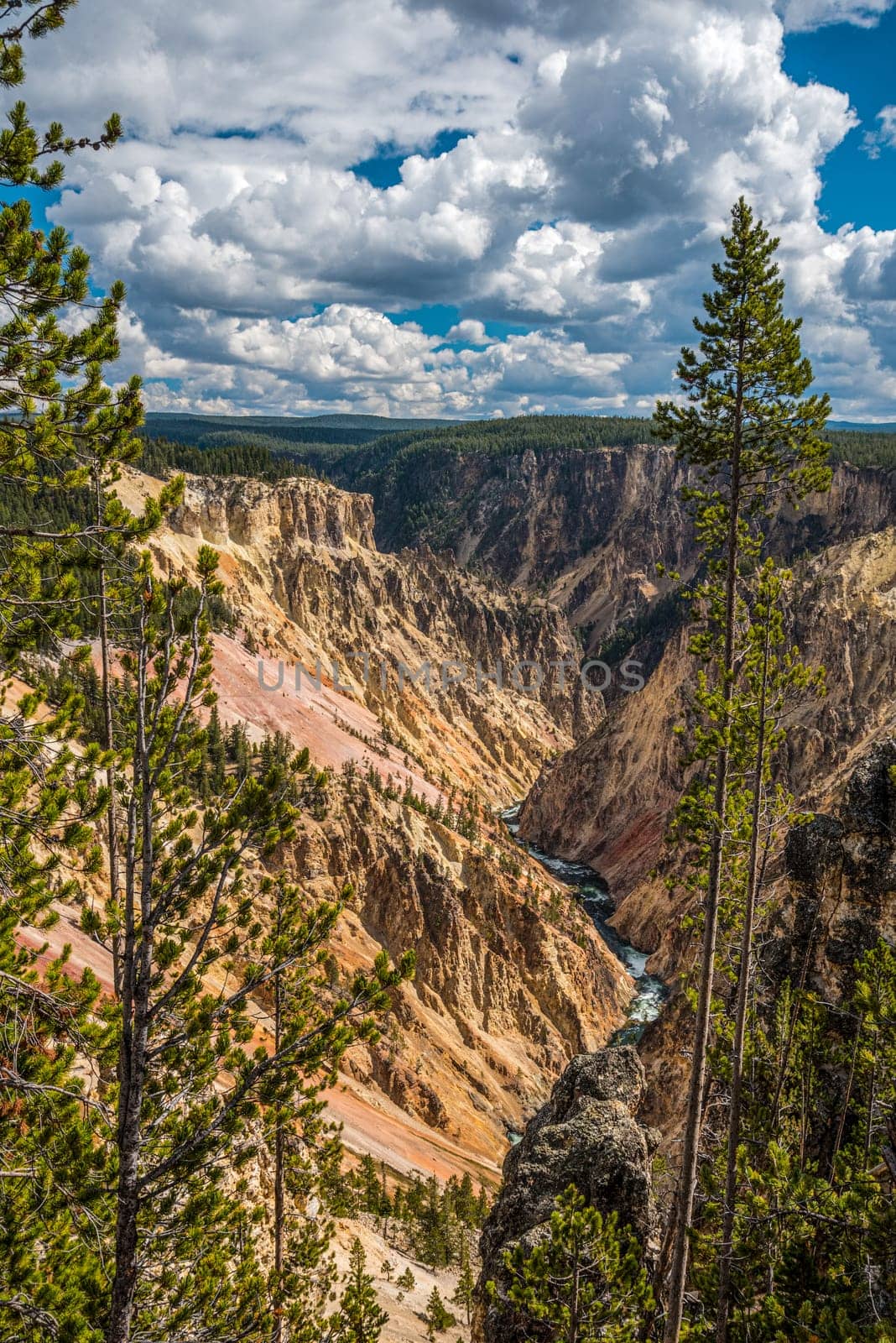 River flowing through the popular Grand Canyon of the Yellowstone, USA