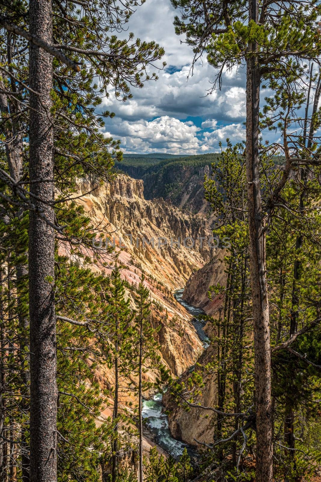 River flowing through the popular Grand Canyon of the Yellowstone, USA