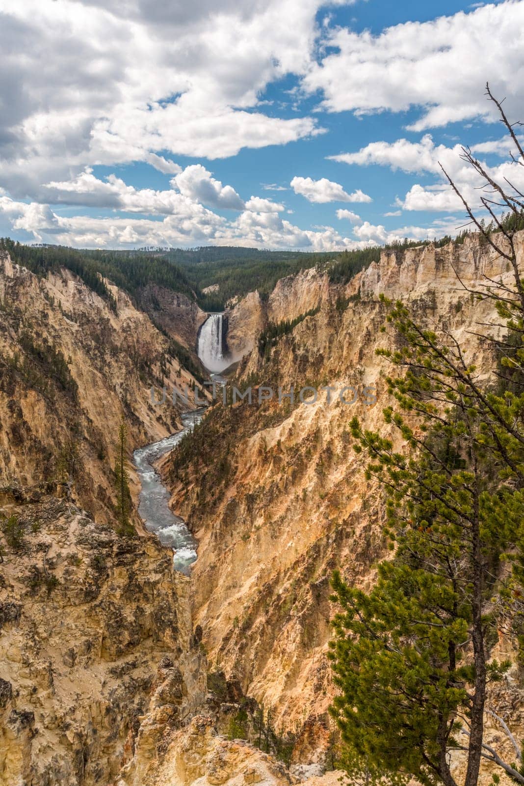 River flowing through the popular Grand Canyon of the Yellowstone, USA