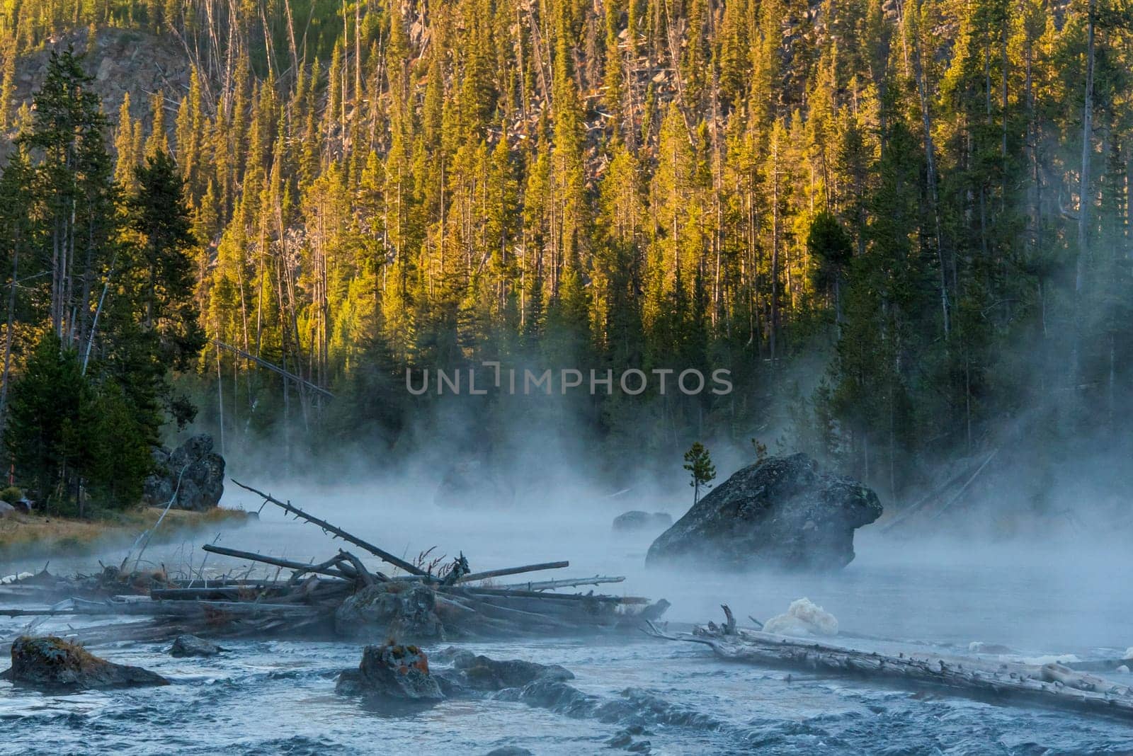 Early morning at a quiet river, fog is rising, Yellowstone National Park, USA