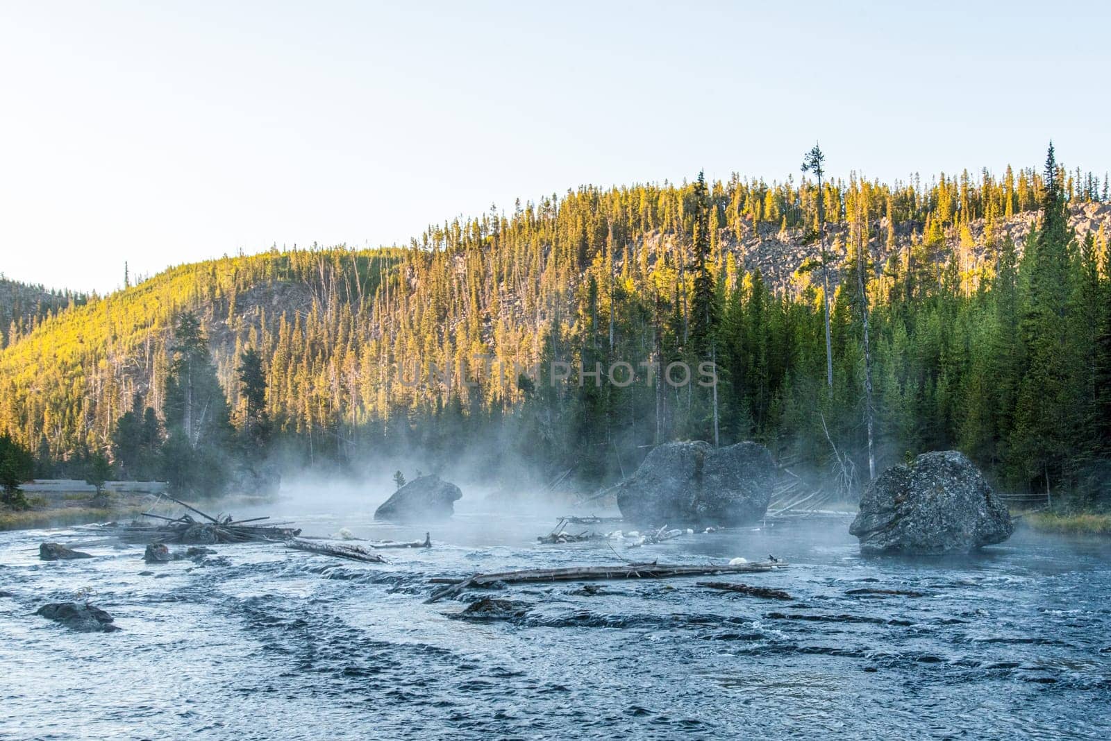 Early morning at a quiet river, fog is rising, Yellowstone National Park, USA