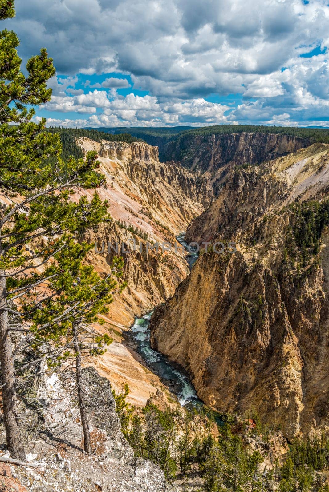River flowing through the popular Grand Canyon of the Yellowstone, USA