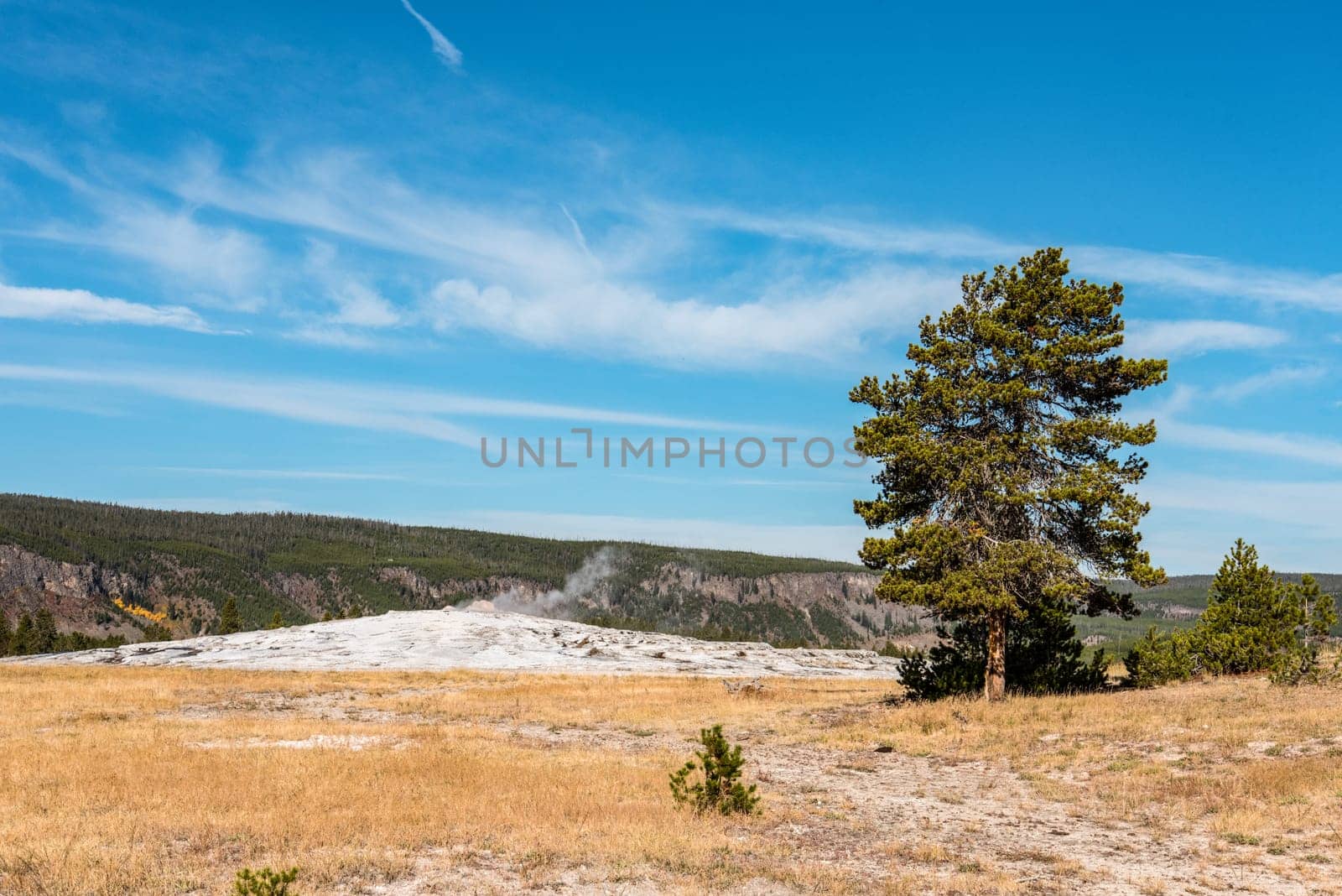 Famous Old Faithful geyser erupting, Yellowstone National Park, USA