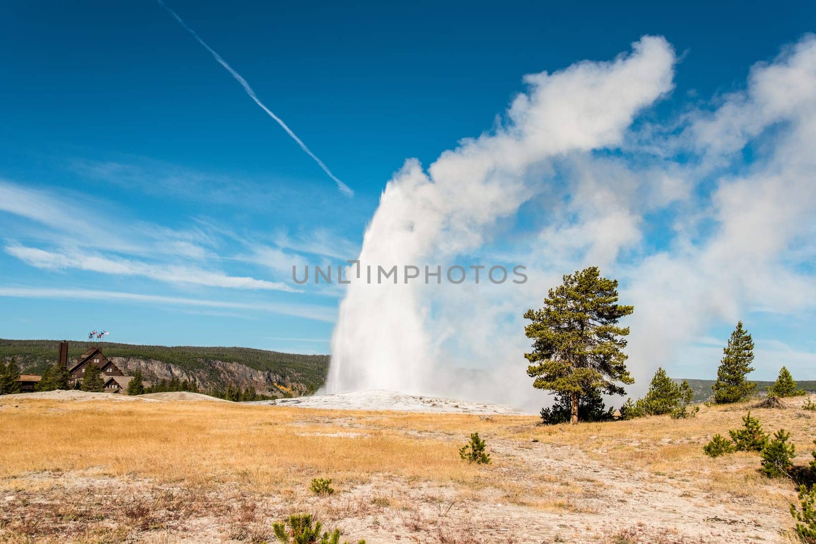 Famous Old Faithful geyser erupting, Yellowstone National Park, USA