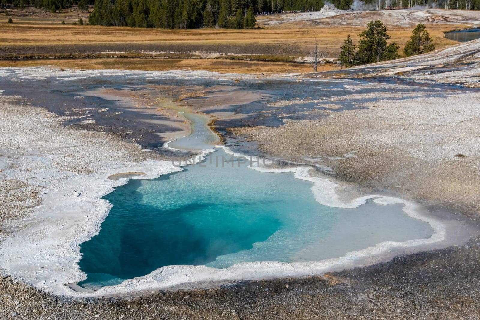 Great colorful pools of the Upper Geyser Basin of Yellowstone NP, USA