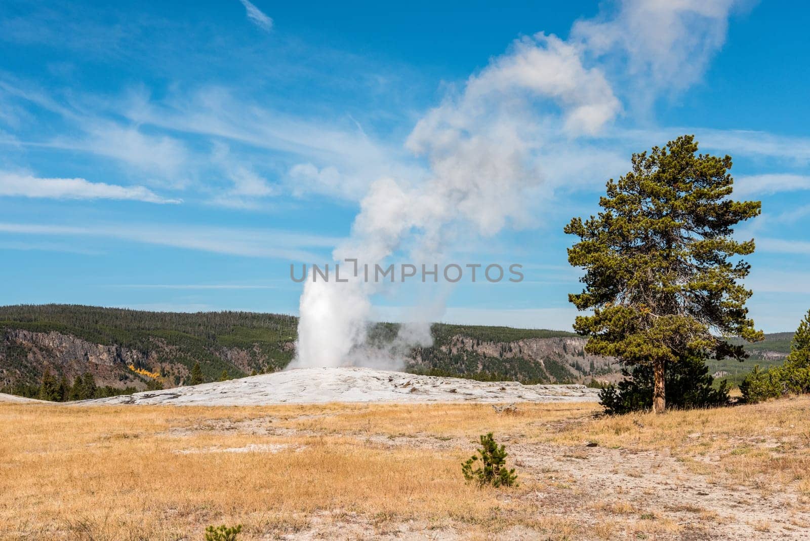 Famous Old Faithful geyser erupting, Yellowstone National Park, USA