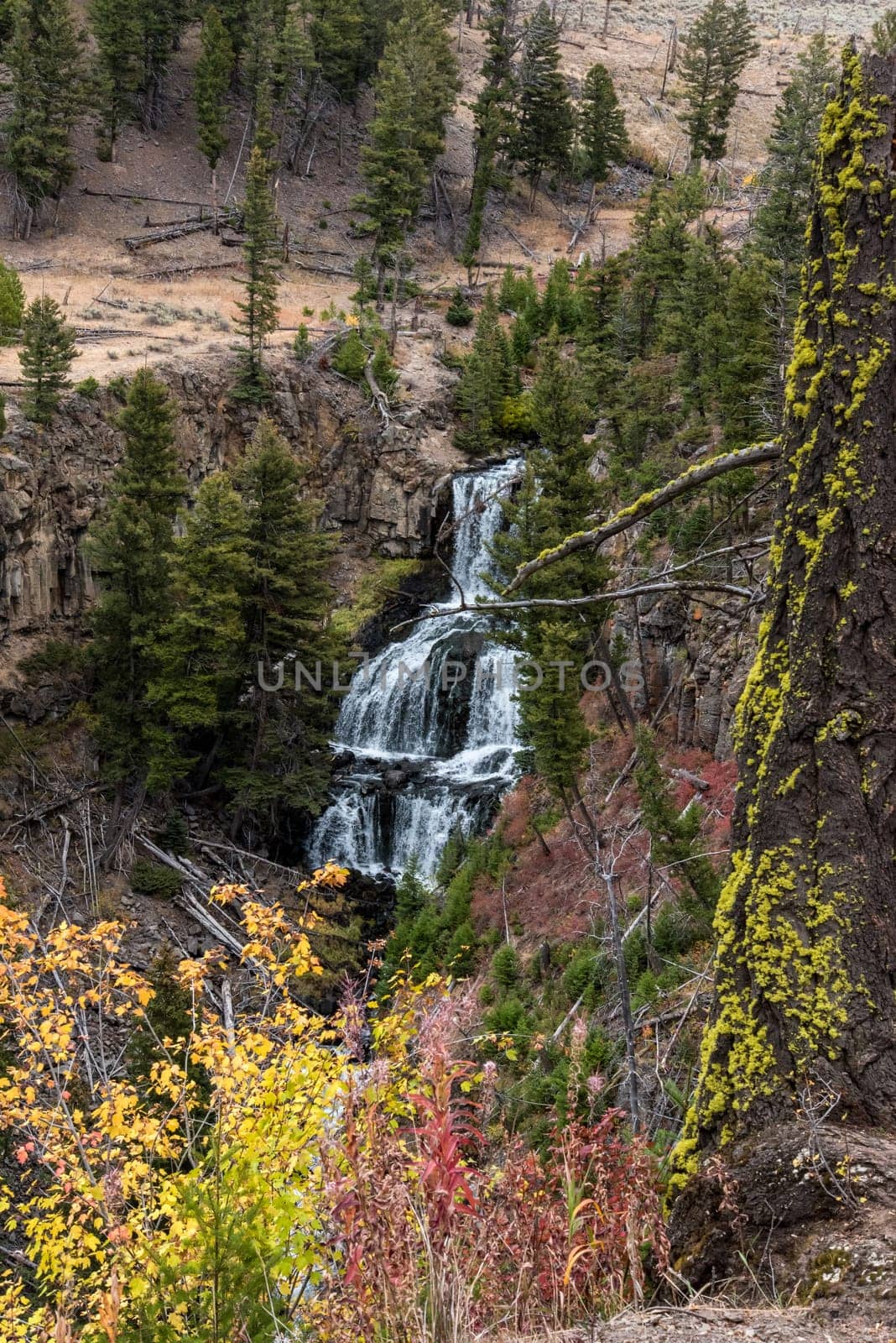 A small waterfall hidden in the north of the Yellowstone NP, USA