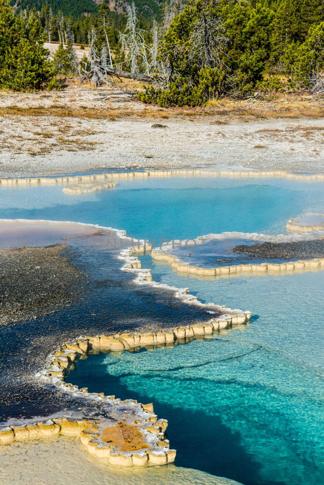 Great colorful pools of the Upper Geyser Basin of Yellowstone NP, USA