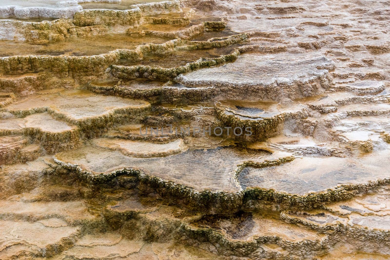 Scenic lifeless calcium terraces at Mammoth Hot Springs, Yellowstone National Park, USA