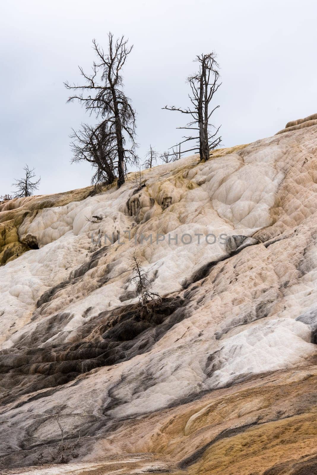 Scenic lifeless calcium terraces at Mammoth Hot Springs, Yellowstone National Park, USA