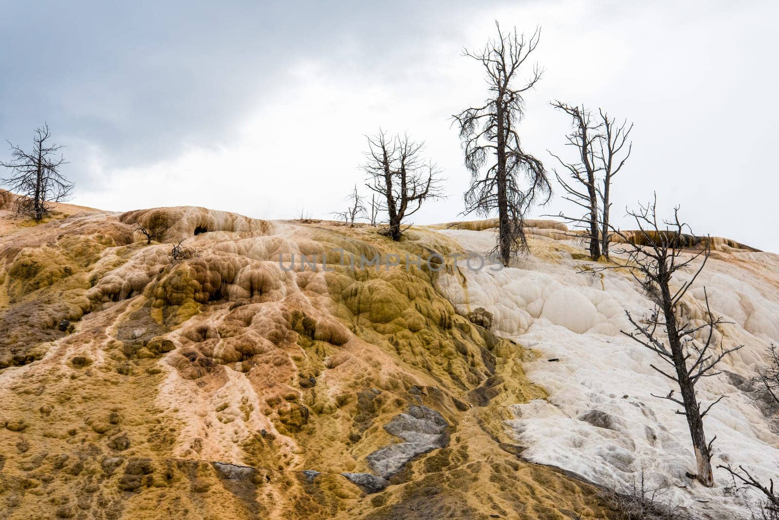 Scenic lifeless calcium terraces at Mammoth Hot Springs, Yellowstone National Park, USA