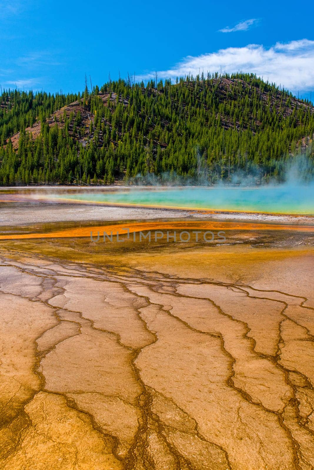 Famous Grand Prismatic Spring basin in Yellowstone National Park, USA