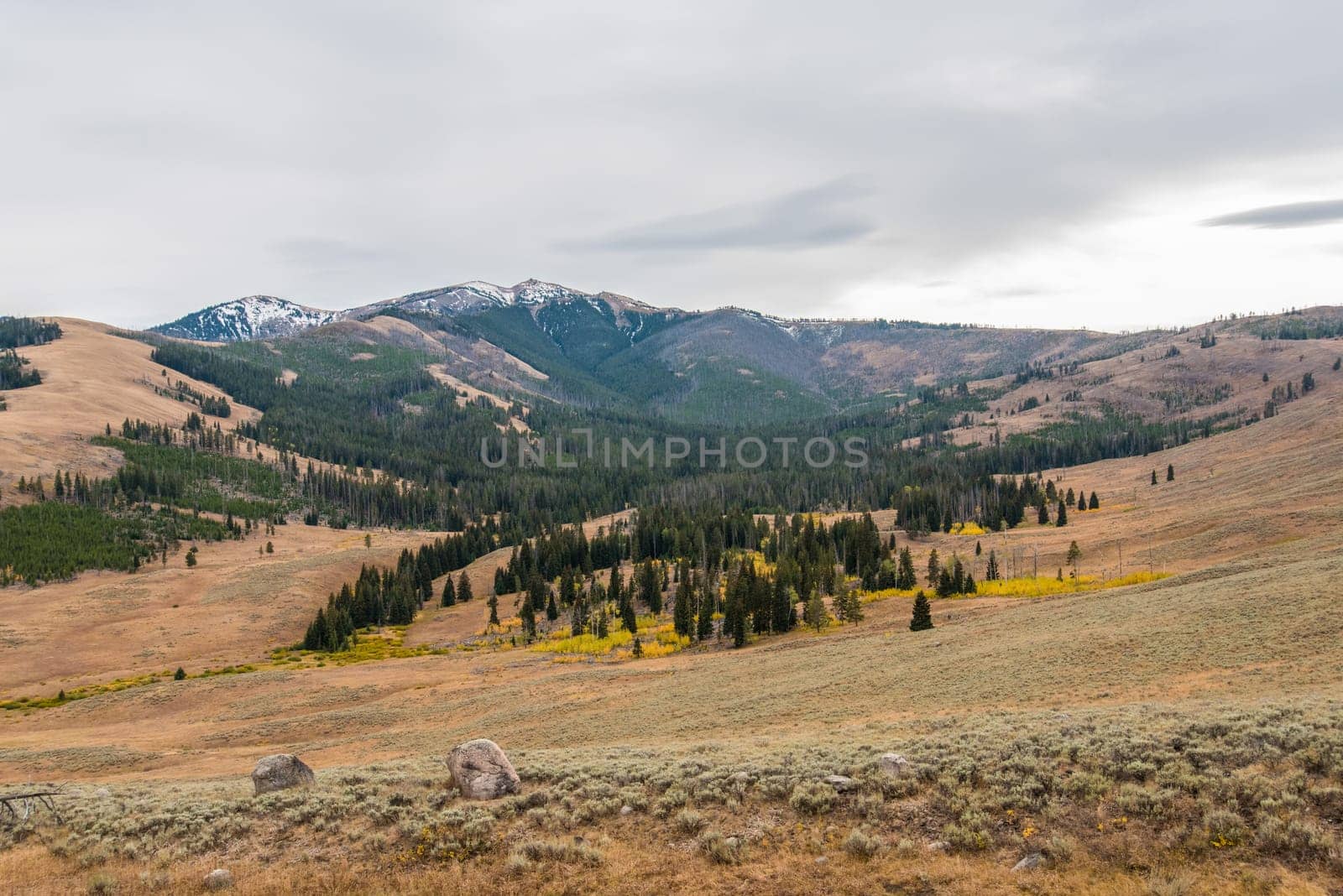 Untouched prairie landscape in the north of Yellowstone National Park, USA