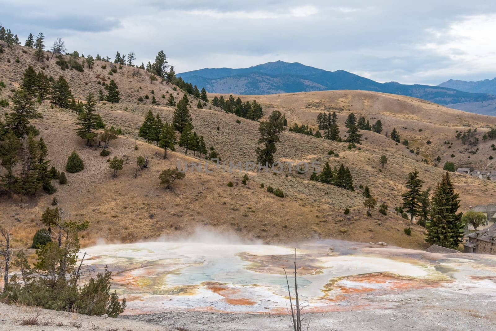 Prairie landscape at Mammoth Hot Springs, Yellowstone National Park, USA