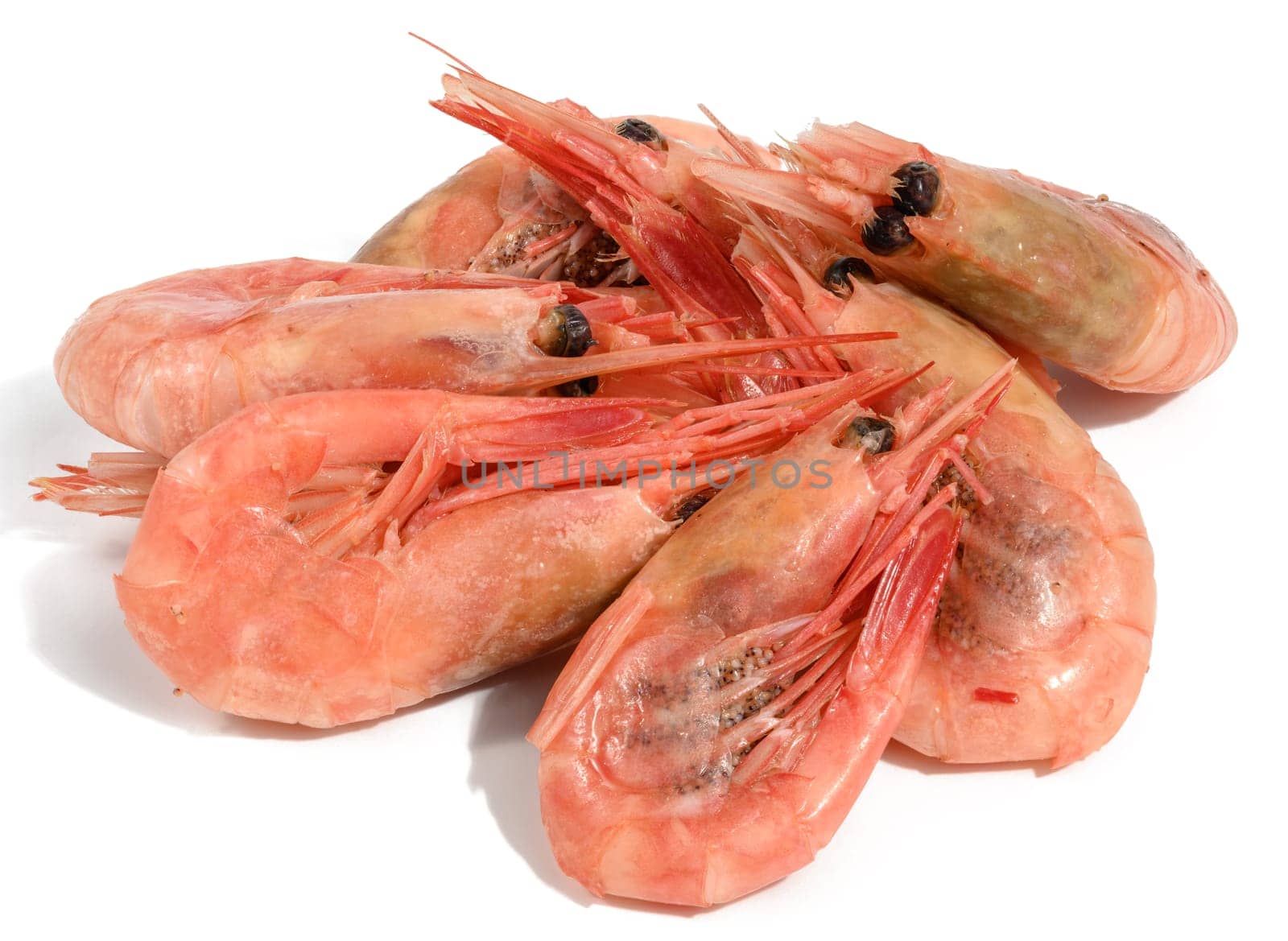 Boiled shrimp on a white isolated background, close up