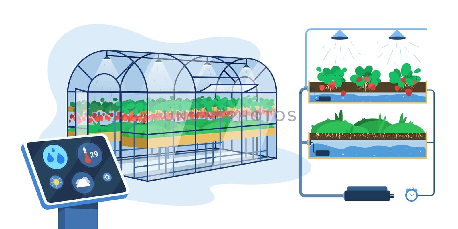 Flat greenhouse with smart innovation technology for growing or automation watering plants. Agricultural cultivation, hydroponic gardening system with control digital device. Farm industry concept.