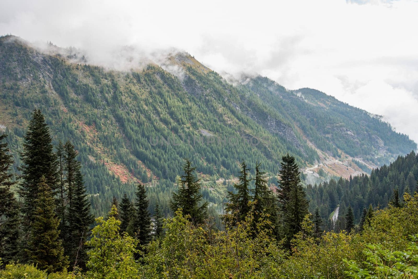 Magnificent mountain landscape around Mount Rainier National Park, USA