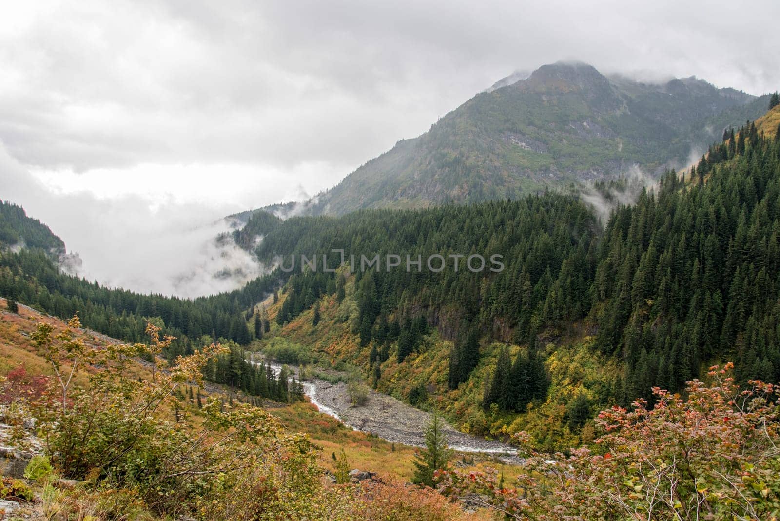 Magnificent mountain landscape around Mount Rainier National Park, USA