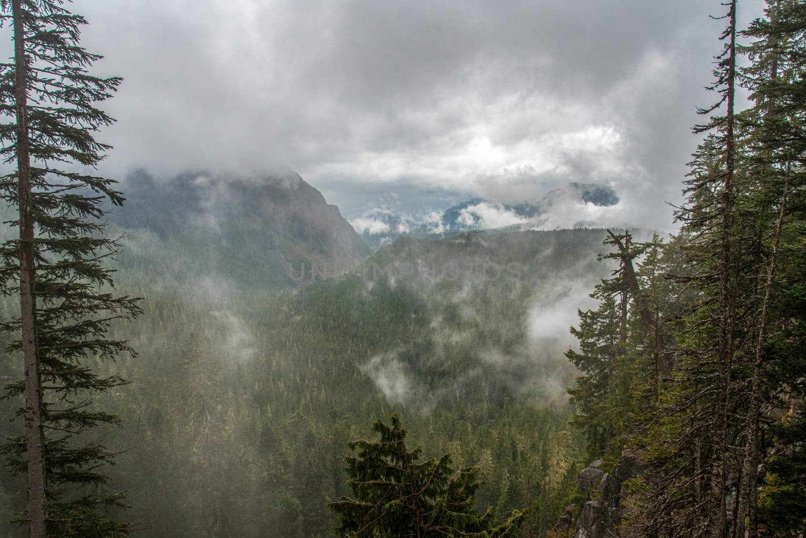 Magnificent mountain landscape around Mount Rainier National Park, USA