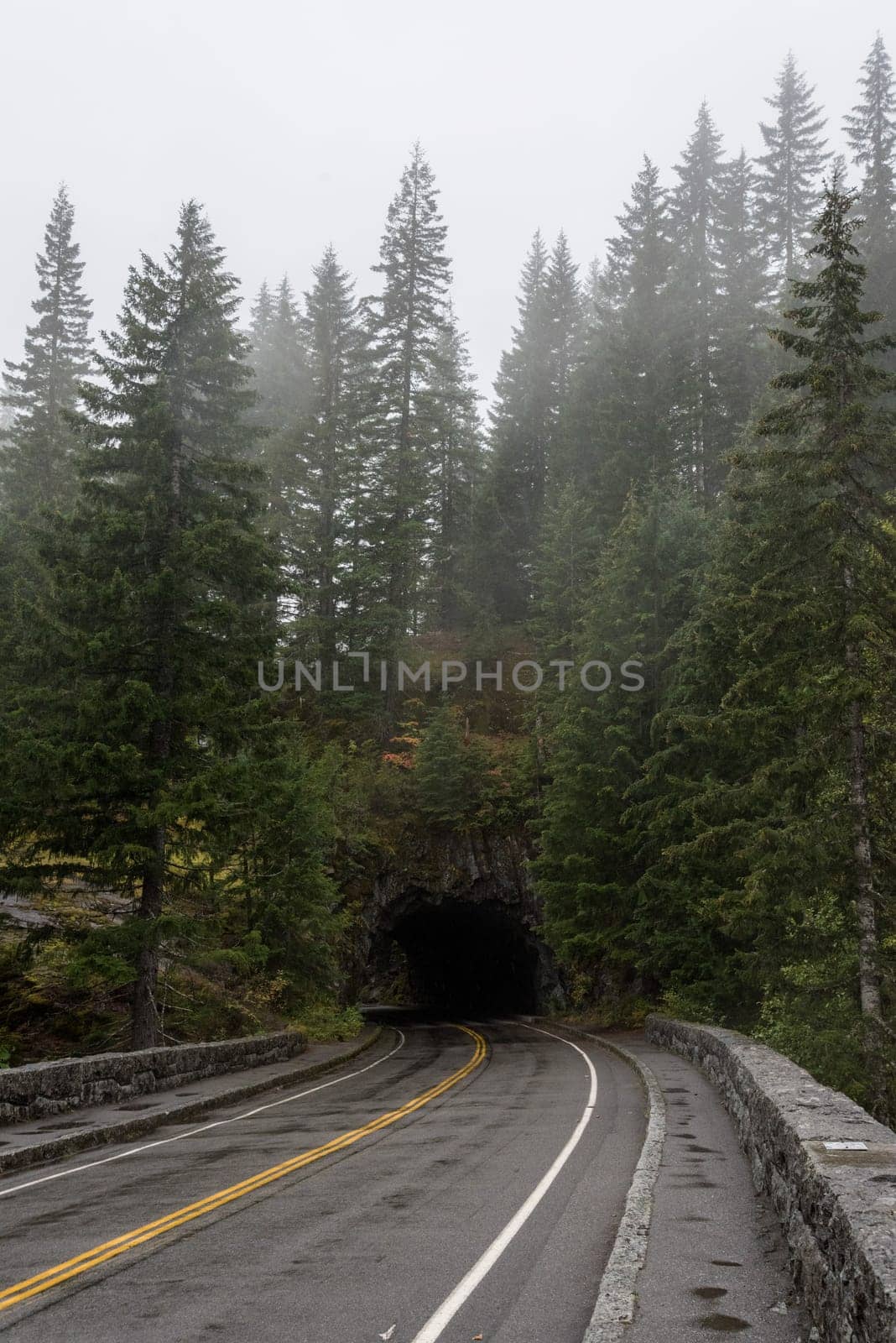 A typical highway tunnel in the forest of Mount Rainier National Park, USA