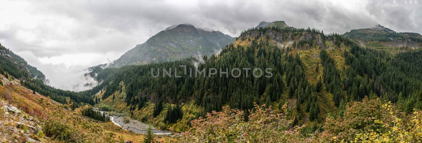 Magnificent mountain landscape around Mount Rainier National Park, USA