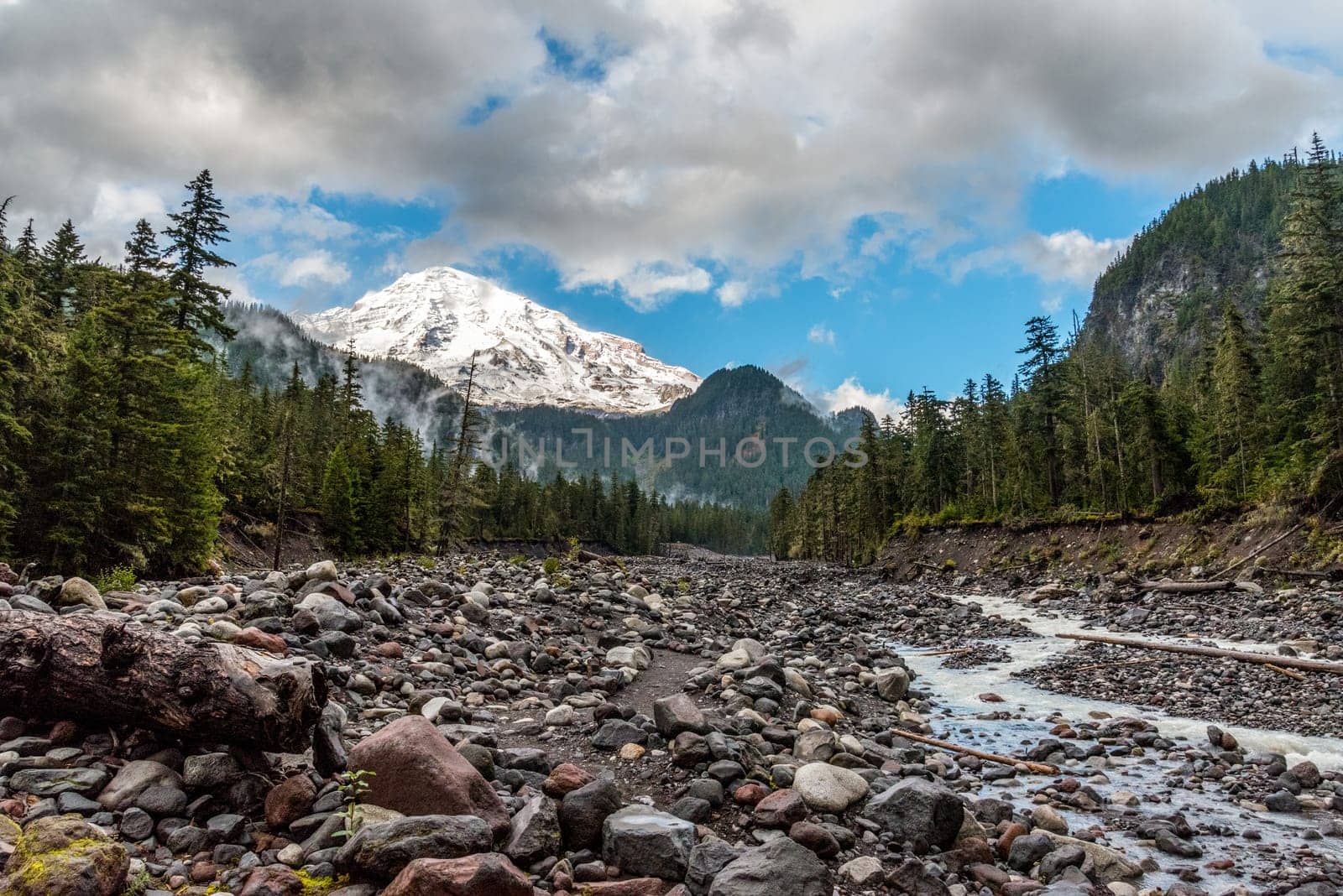 Great view on Mt Rainier from Nisqually river, USA