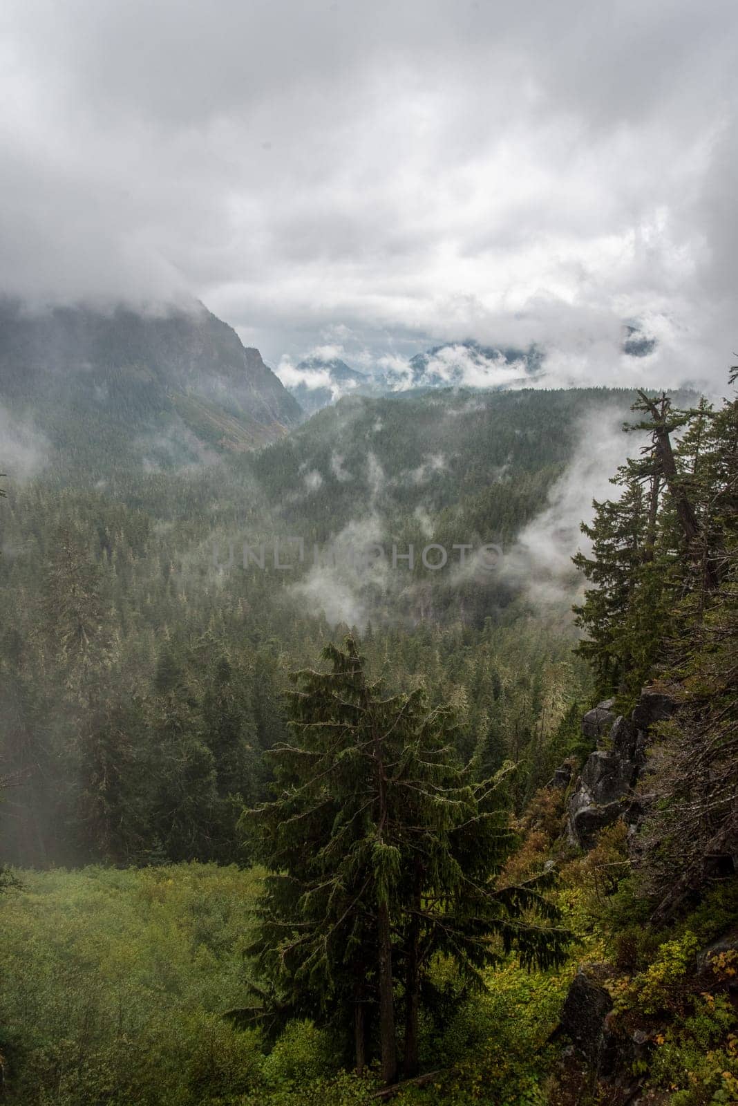 Magnificent mountain landscape around Mount Rainier National Park, USA