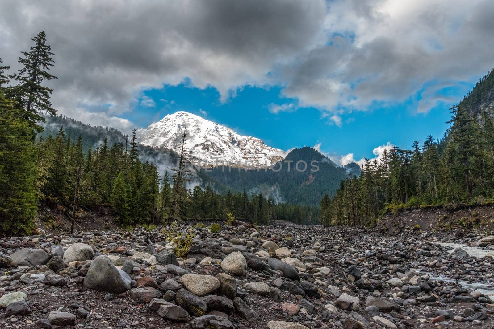 Great view on Mt Rainier from Nisqually river, USA