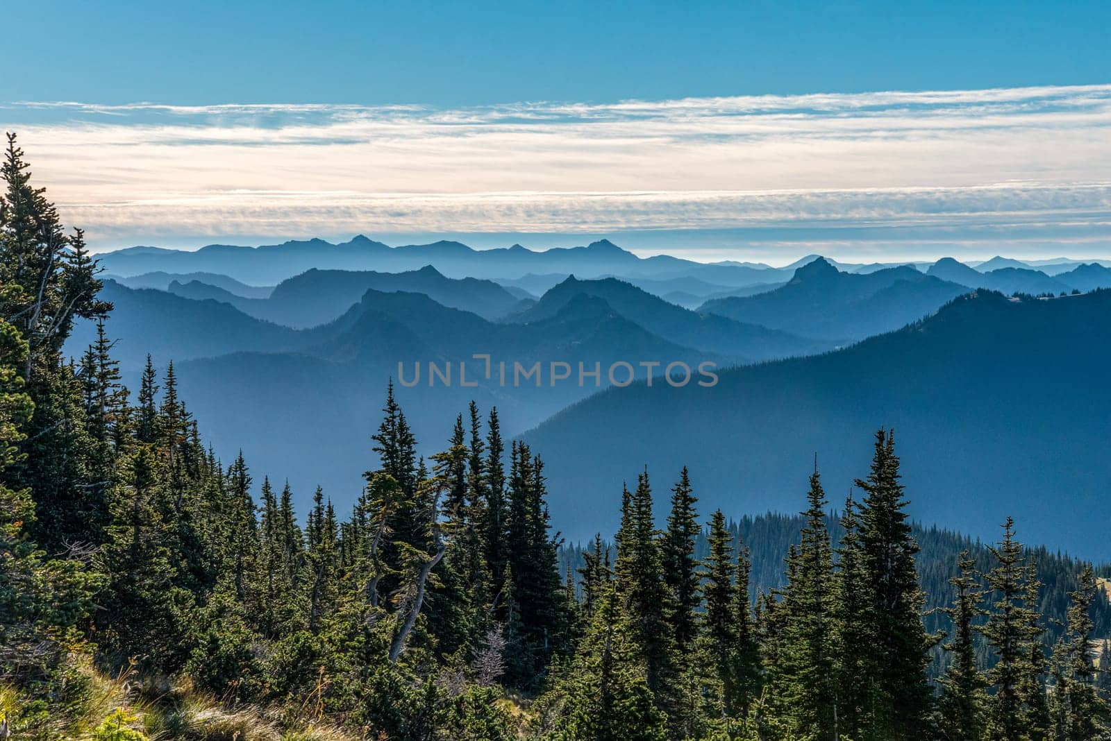 Great view over the Rockies mountain range from Mt Rainier NP, USA