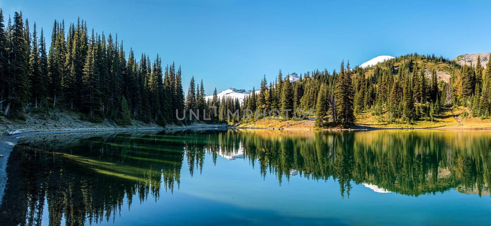 Scenic reflection from Shadow Lake and Mount Rainier in the background, Mt Rainier NP, USA