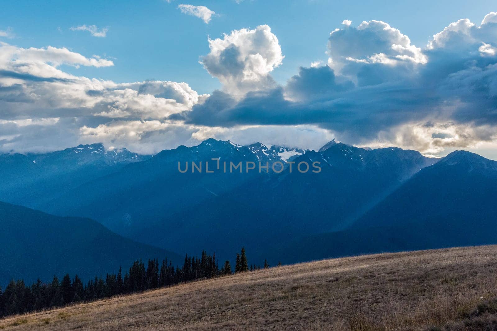 Alpine landscape in the Olympic National Park, Washington State, USA