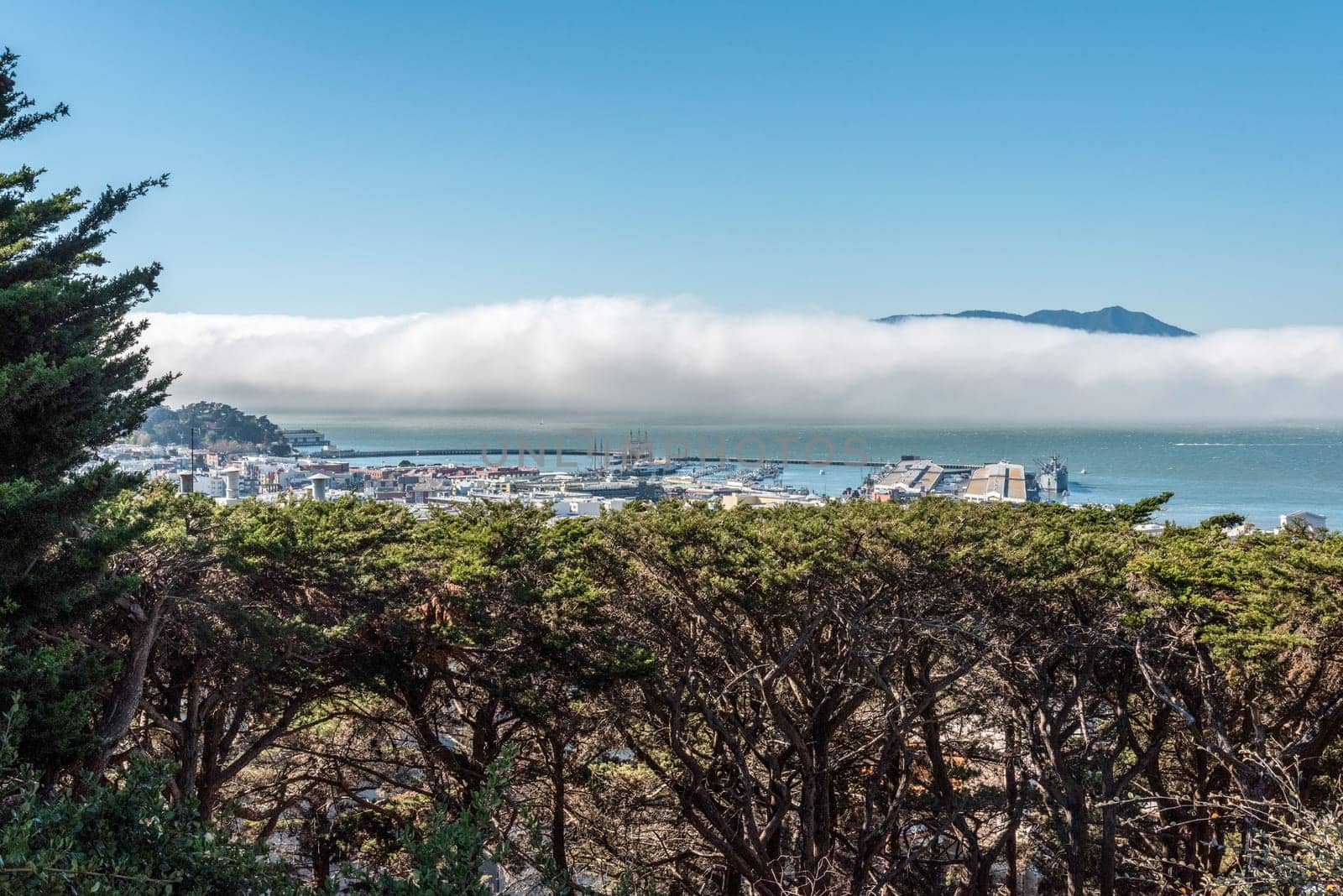 View of San Francisco Bay Area from Telegraph Hill, USA