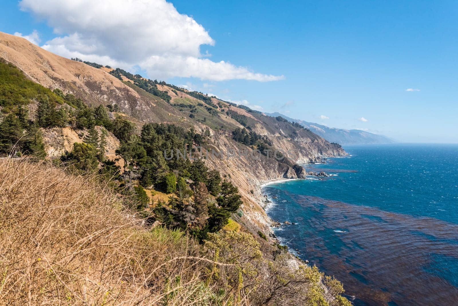 Scenic pacific coast at the Big Sur Highway No 1 in California, USA