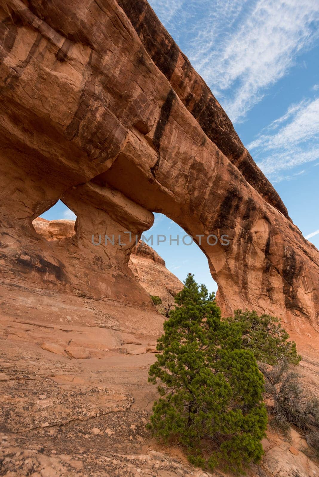 Great view on the Partition Arch in the Arches National Park, USA