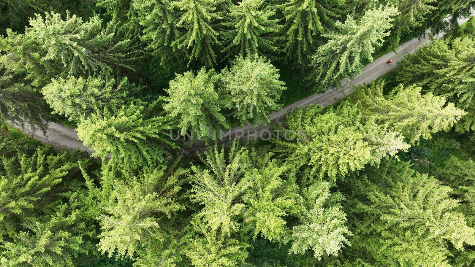 Drone shot of green forest with path and woman in Bavaria
