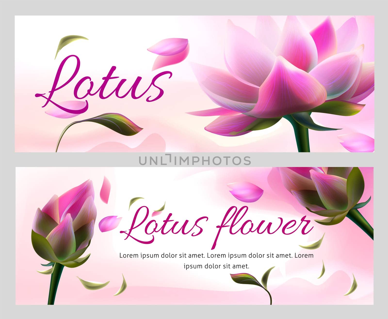Vector horizontal banners with pink lotus flowers and flying petals on white background. Packaging design for ayurveda products or natural aroma spa cosmetic. Greeting card or invitation card template