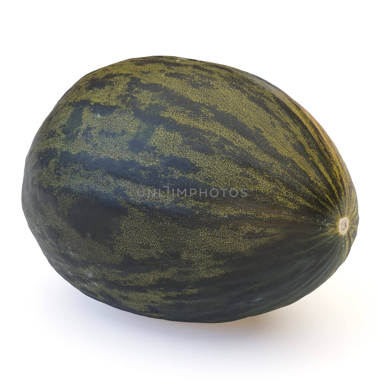 whole melon fruit santa claus melon christmas melon green juicy organic tropical cantaloupe variety spain food