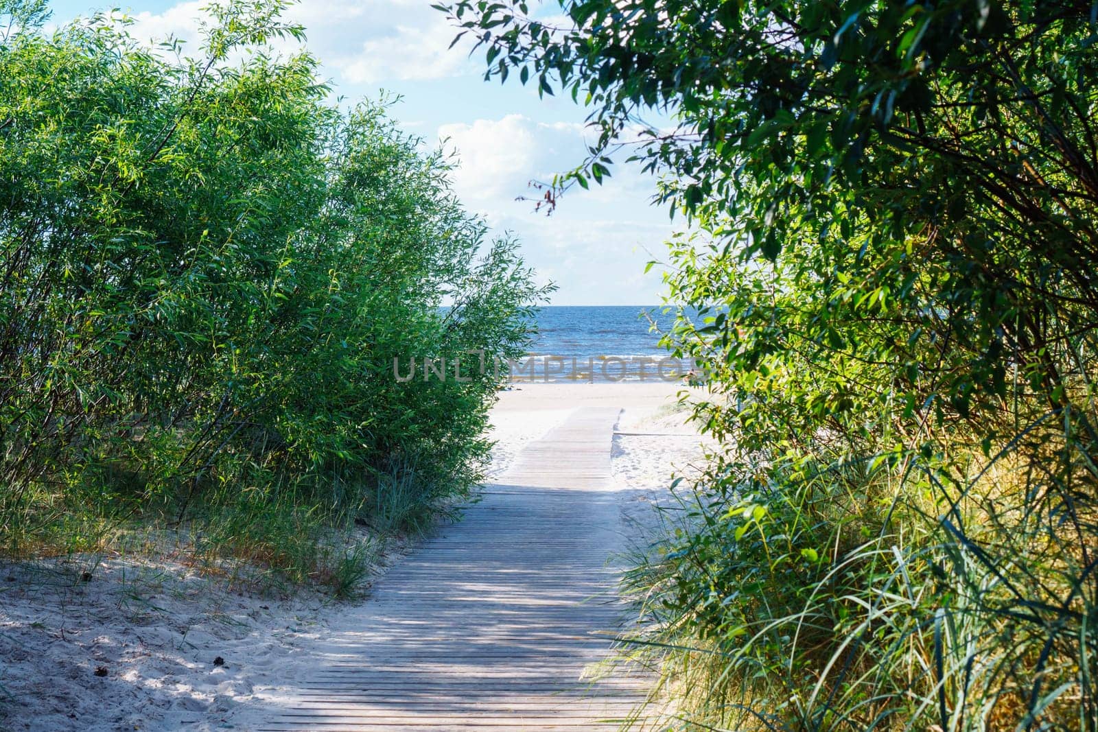 Scenic view of sandy path road surrounded by trees bushes with green leaves to beach sea ocean on sunny summer day. Summertime, holiday, vacation, travelling, nature, landscape, seascape, tourism.