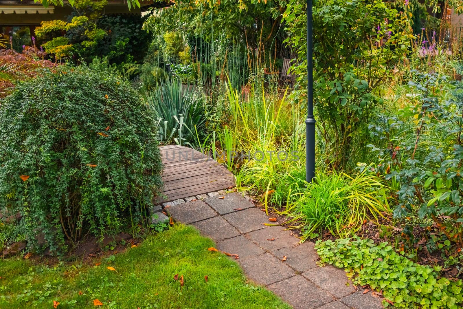 Garden with green plants and small path, gardening concept