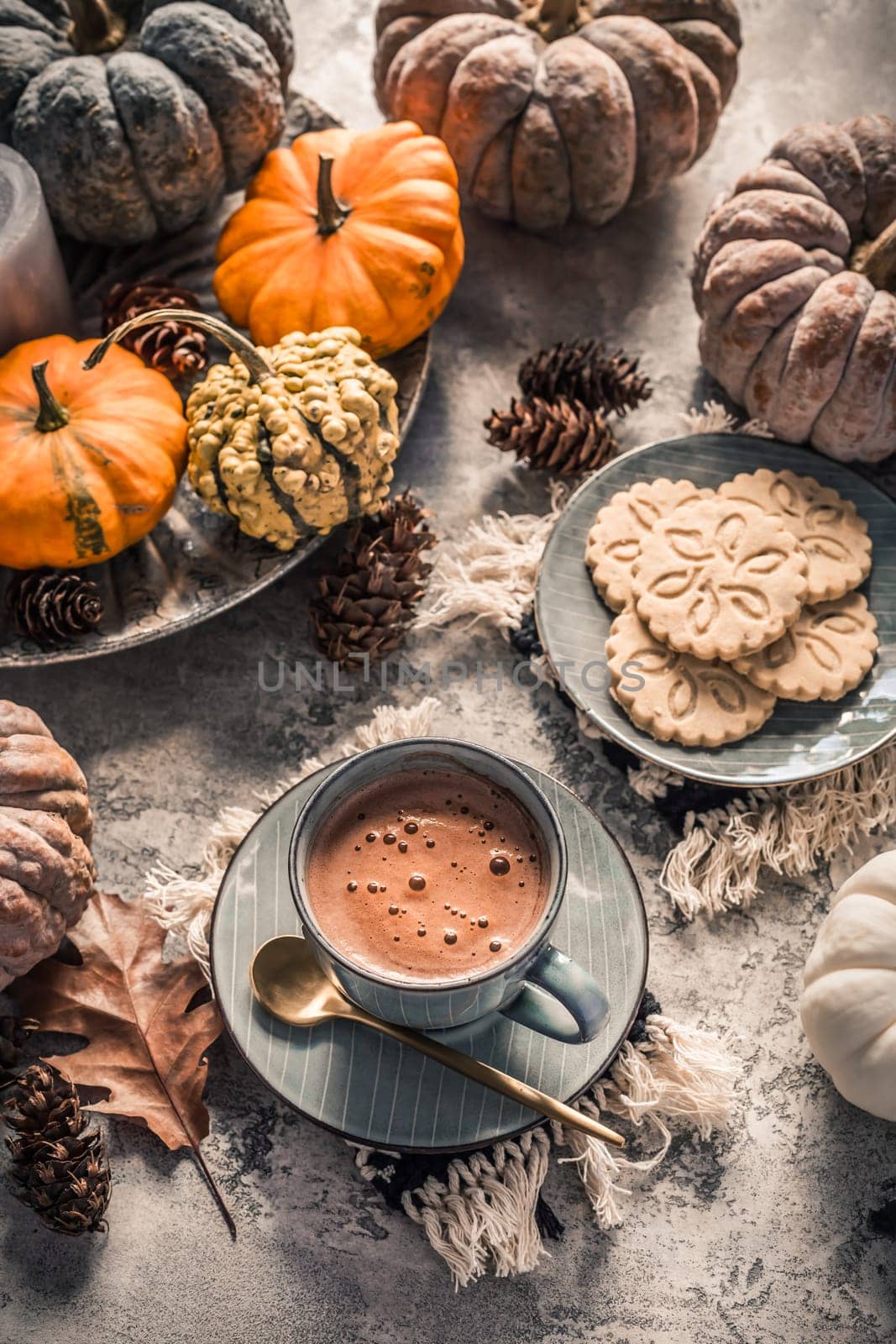 Chai chocolate  or hot cacao with chai cookies, pumpkins for Thanksgiving breakfast. Cozy autumn still life, hygge.