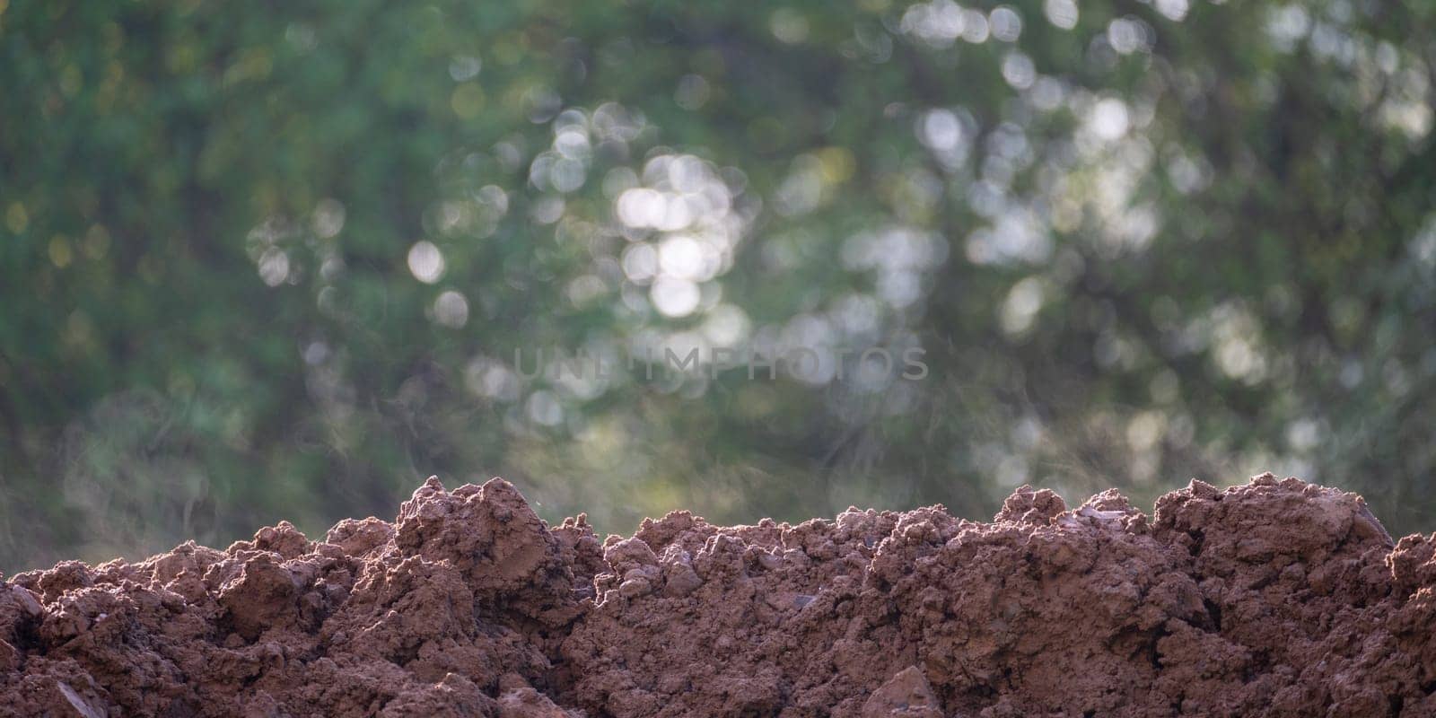Fresh steaming earth soil in green nature