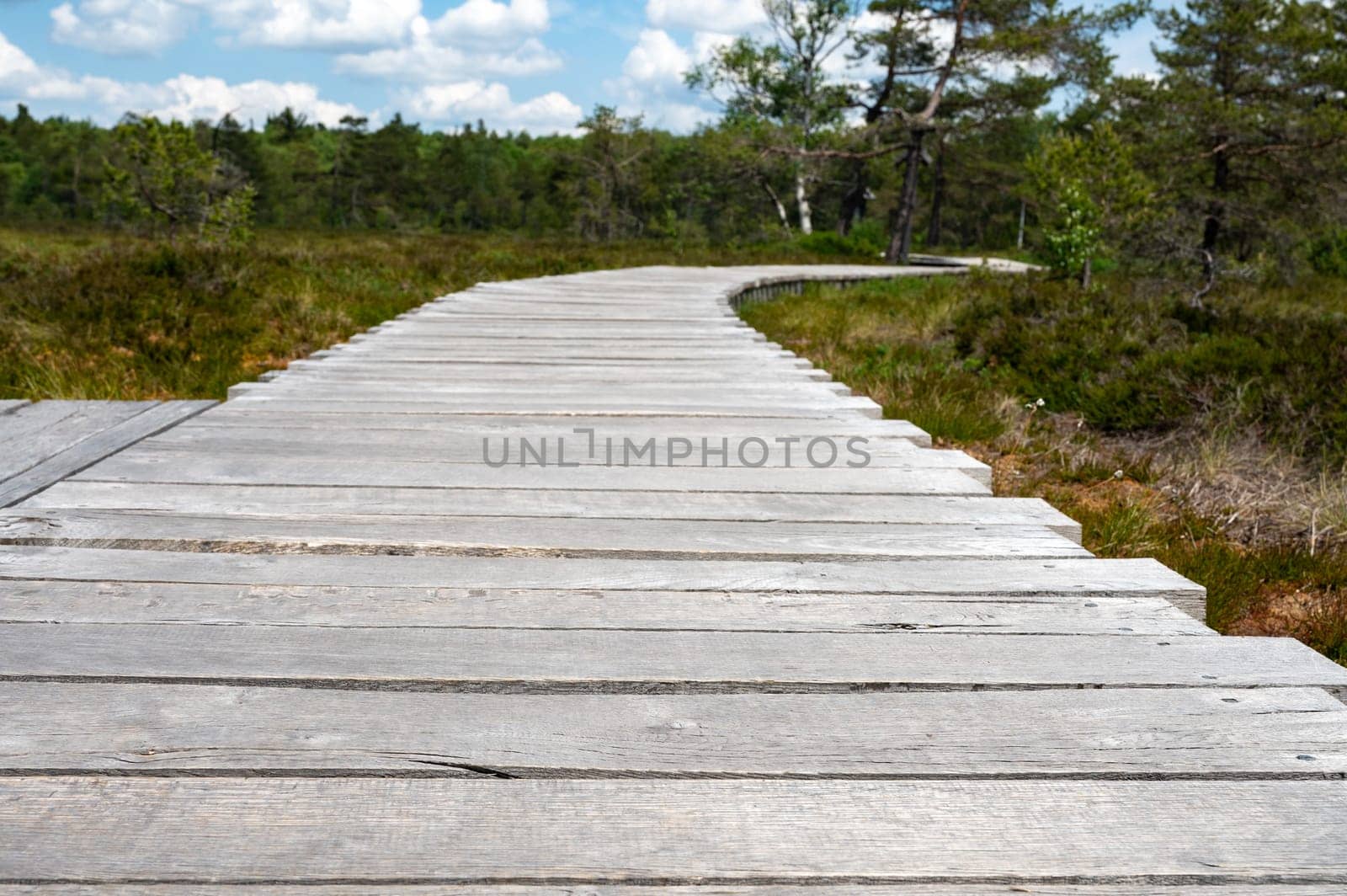 Black moor with a new wooden path in the Rhoen, Bavaria, Germany