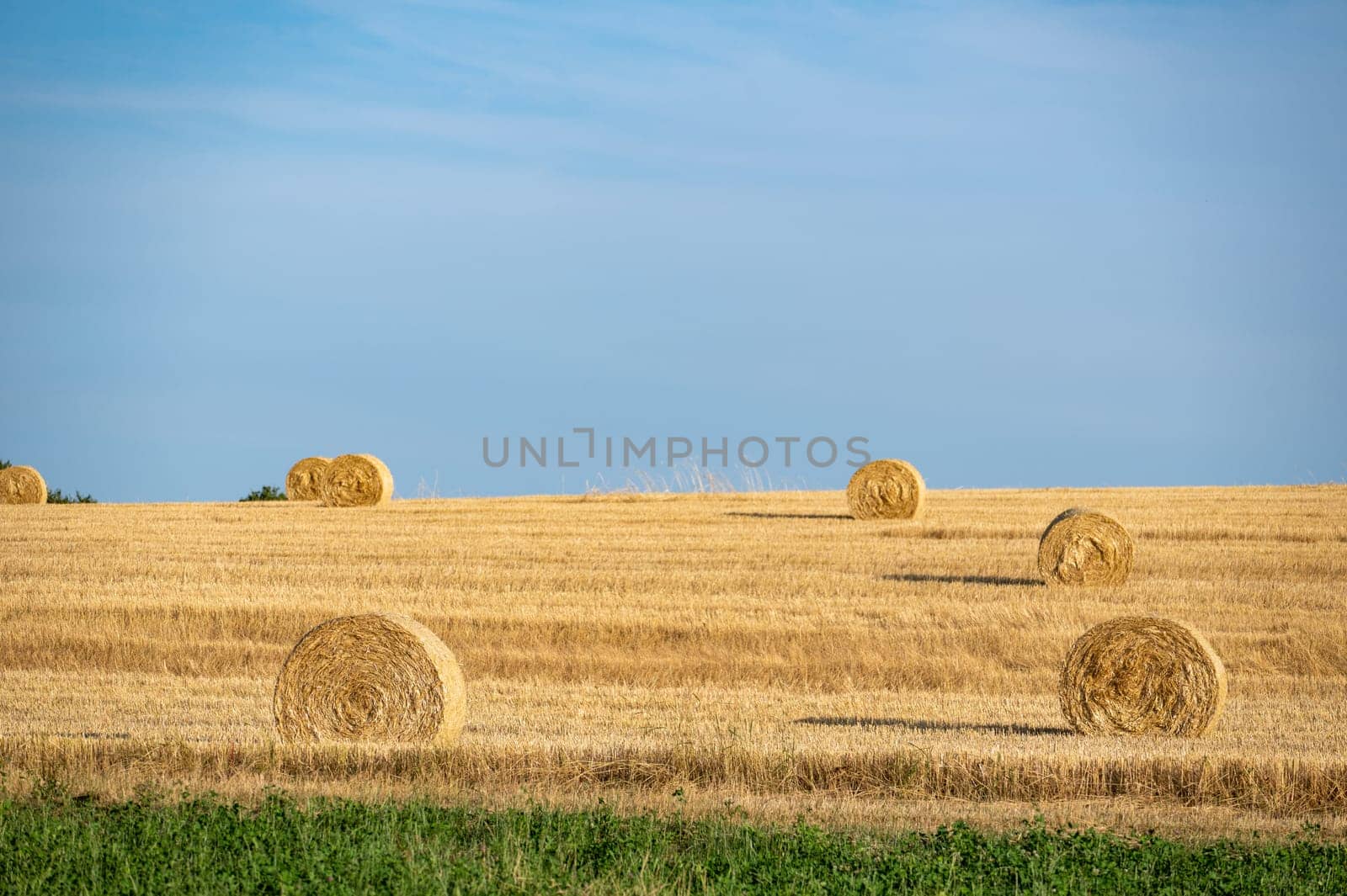 Straw bales on harvested field with horizon and blue sky