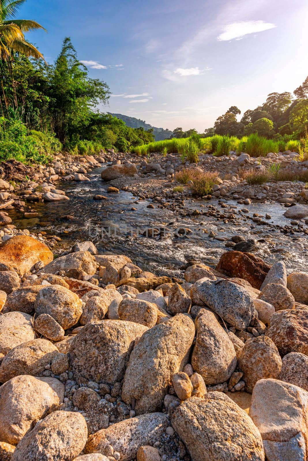 Stone river and sun ray in forest, River stone and tree with sun beam, View water river tree