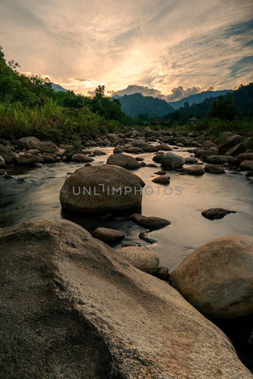 River stone and tree with sun light, View water river tree, Stone river and sun ray in forest